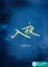 《入夜》小说封面