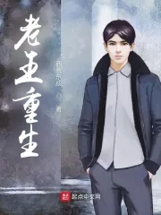 《重生之你管这叫老实人？》小说封面