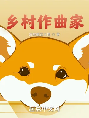 《乡村作曲家》小说封面