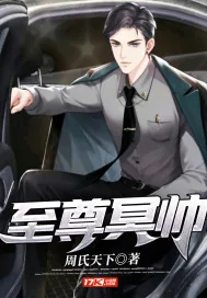 《至尊冥帅》小说封面