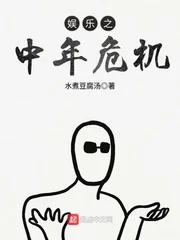 《娱乐之中年危机》小说封面