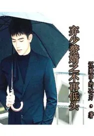 《弃少赘婿之不再低头》小说封面