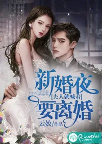 《新婚夜,夫人就喊着要离婚》小说封面