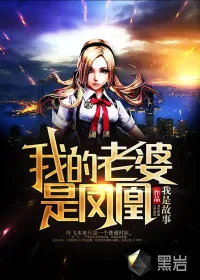 《我的老婆是凤凰》小说封面