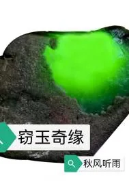 《窃玉奇缘》小说封面