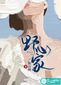 《野心家》小说封面