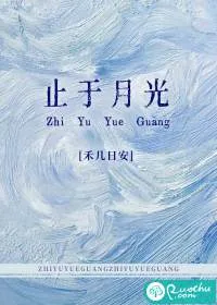 《止于月光》小说封面