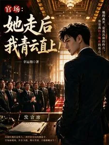 《官场：她走后，我青云直上！》小说封面
