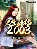 《人生回档2003》小说封面