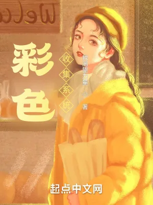 《彩色收集系统》小说封面