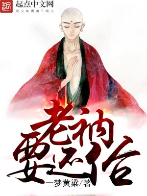 《老衲要还俗》小说封面