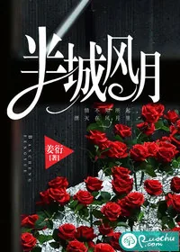 《半城风月》小说封面
