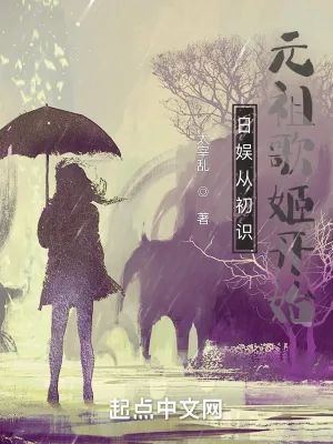 《日娱从初识元祖歌姬开始》小说封面
