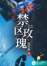 《禁区玫瑰》小说封面