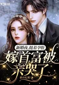 《新婚夜,挺着孕肚嫁首富被亲哭了》小说封面