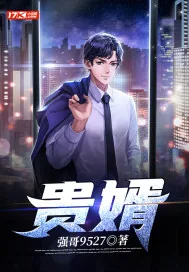 《贵婿》小说封面