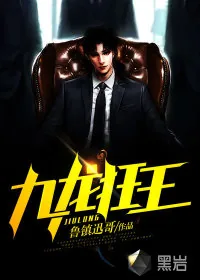 《九龙狂王》小说封面