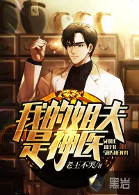 《我的姐夫是神医》小说封面