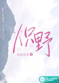 《炽野》小说封面
