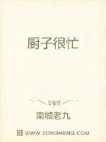 《厨子很忙》小说封面