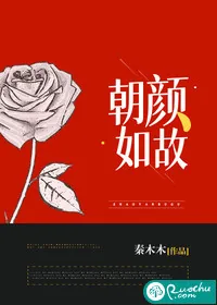 《朝颜如故》小说封面