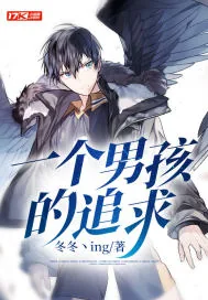 《一个男孩的追求》小说封面
