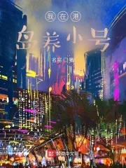 《我在港岛养小号》小说封面