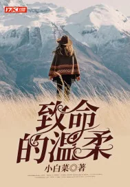 《致命的温柔》小说封面