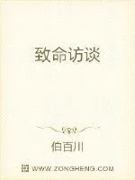 《致命访谈》小说封面