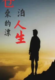 《沧桑的漂泊人生》小说封面