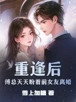 《重逢后,傅总天天盼着前女友离婚》小说封面