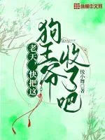 《老天，快把这狗王爷收了吧！》小说封面