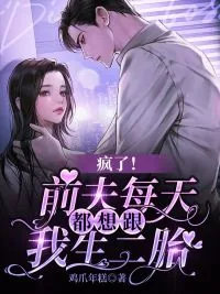 《疯了！前夫每天都想跟我生二胎》小说封面