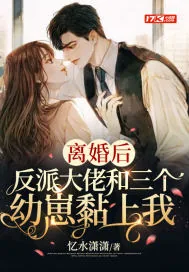 《离婚后,反派大佬和三个幼崽黏上我》小说封面