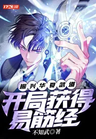 《振兴华夏武道：开局获得易筋经》小说封面