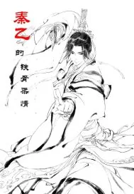 《秦乙的铁骨柔情》小说封面
