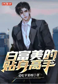 《白富美的贴身高手》小说封面