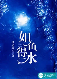 《如鱼得水》小说封面