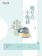 《她有点小傲娇》小说封面