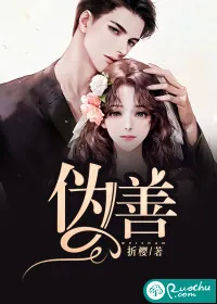 《伪善》小说封面