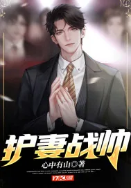 《护妻战帅》小说封面