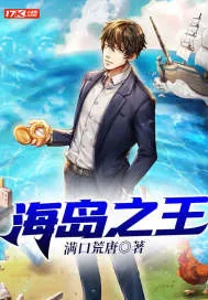 《海岛之王》小说封面