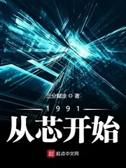 《1991从芯开始》小说封面