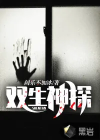 《双生神探》小说封面