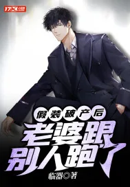 《假装破产后，老婆跟别人跑了》小说封面