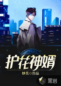 《护花神婿》小说封面