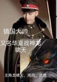 《镇国大帅》小说封面
