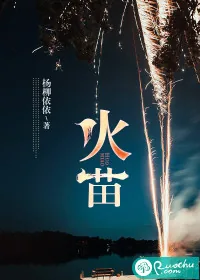《火苗》小说封面