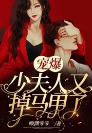 《宠爆,少夫人又掉马甲了》小说封面
