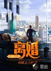 《我真的只想离婚》小说封面